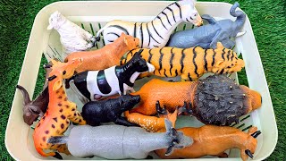 Apprendre les animaux de la ferme et du zoo pour les enfants avec des jouets : Vache, girafe, lio...