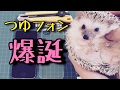 【最速リーク】iPhoneの次期モデル!?【つゆフォン】The next model of iphone is Tsuyu Phone