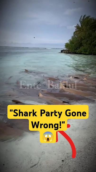 'Shark Beach Party Gone Wrong!😱 #shorts #foryou #shark  #beach #amazingshorts