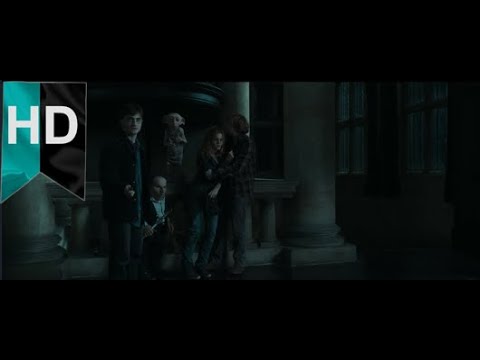 Harry Potter ve Ölüm Yadigârları: Bölüm 1 | Dobby Ölüm |