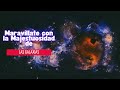 Explorando el Universo Profundo: Las Galaxias en Todo su Esplendor