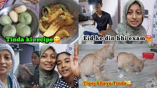 Tinda ki recipe😋Eid ke din hi exam😡Tiger khaya Tinda😅🤣