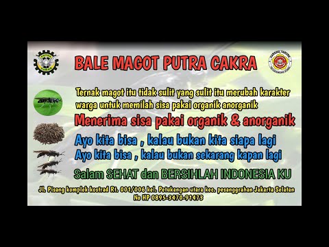 Video: Cara Memanfaatkan Sisa Makanan