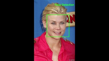 Cascaded Nonlinear Shape Model Regression (SMR) [ICIP2020]