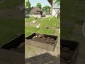 Frische Eier 🥚🐔 #ls25 #fs25 #farming #gaming #shorts