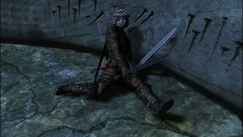 Skyrim - Dual Sheath Redux + FNIS PCEA2