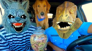 Wolf Surprises Puppy and T-Rex with Car Ride Chase!