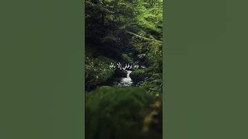 وما توفيقي الإ بالله #ماهر_المعيقلي #سورة_هود