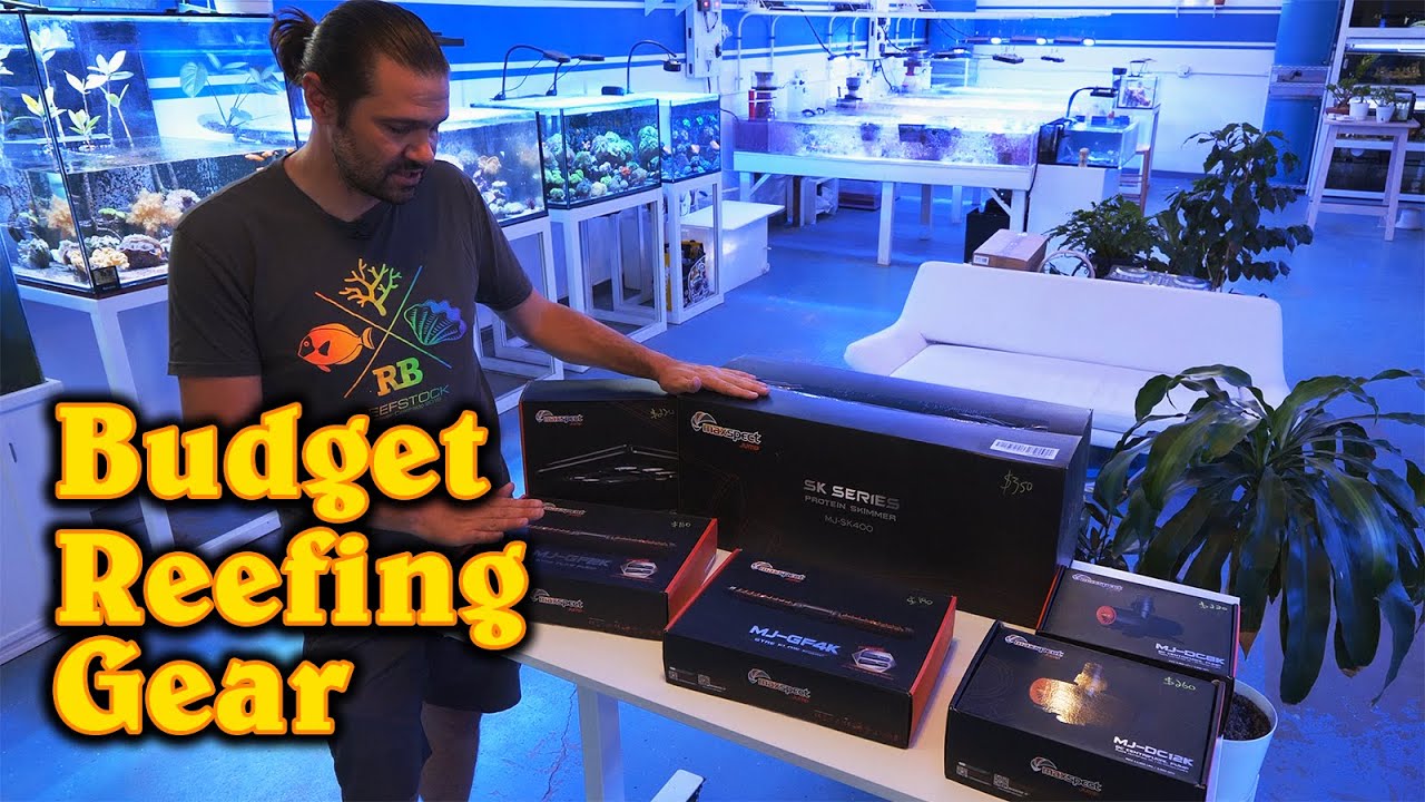 Reefing on a Budget with Maxspect Jump pumps, LED and skimmer
