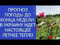 ПРОГНОЗ ПОГОДЫ ДО КОНЦА НЕДЕЛИ: В УКРАИНУ ИДЕТ НАСТОЯЩЕЕ ЛЕТНЕЕ ТЕПЛО