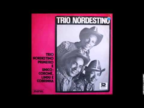 BRA盤71年リイシュー！Trio Nordestino/VamosXamega Panache Tango Balcony Bra - Nutmeg |