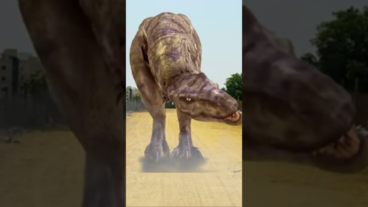 Dinosaurs in real world|ms sandy 