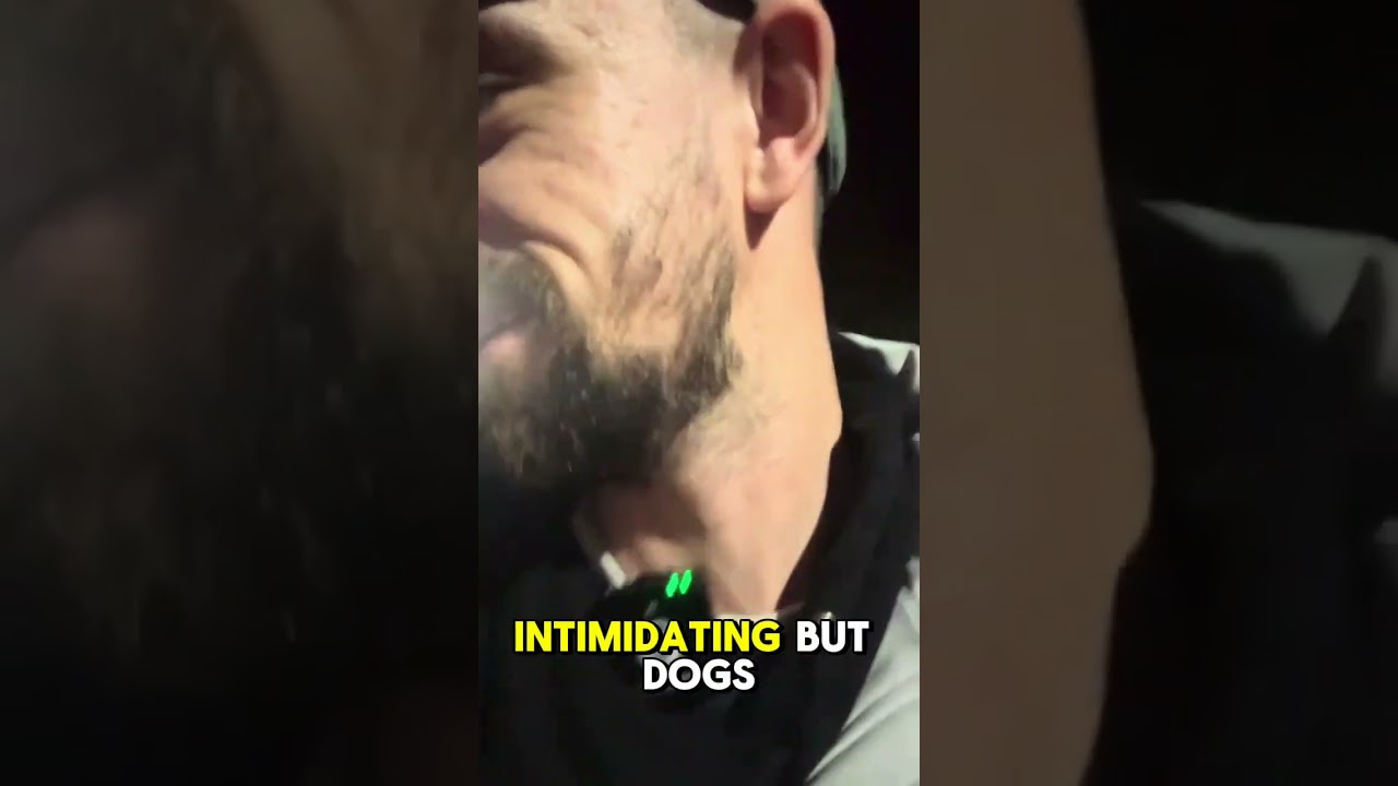 DOGS SMELL FEAR! 🤣 