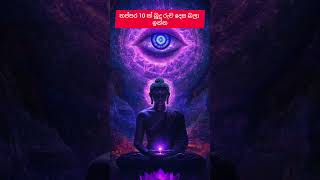 තප්පර 10 ක් බුදු රුව දෙස එක එල්ලේ බලාගෙන ඉන්න