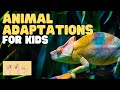Animal Adaptations and Survival Strategies