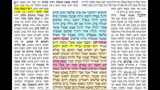 דף יומי מסכת מועד קטן דף יט Daf yomi Moed katan daf 19 להצלחת אלקנה נבון