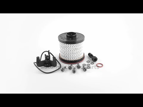 Паливний фільтр (вставка) на Renault Kangoo II 2012-> 1.5dCi - Renault (Оригінал) - 164032438R, видео 1