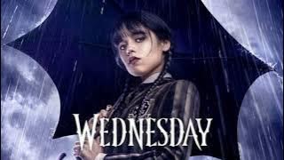 Wednesday ringtone - space song beach #wednesday #wednesdayaddams #netflix