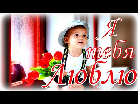 Я тебя люблю