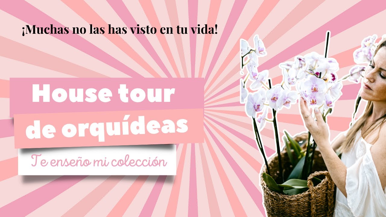 House tour de orquídeas