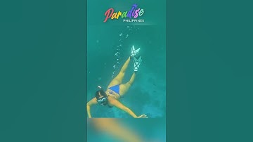 Cebu Island Hopping Experience | Paradise Philippines