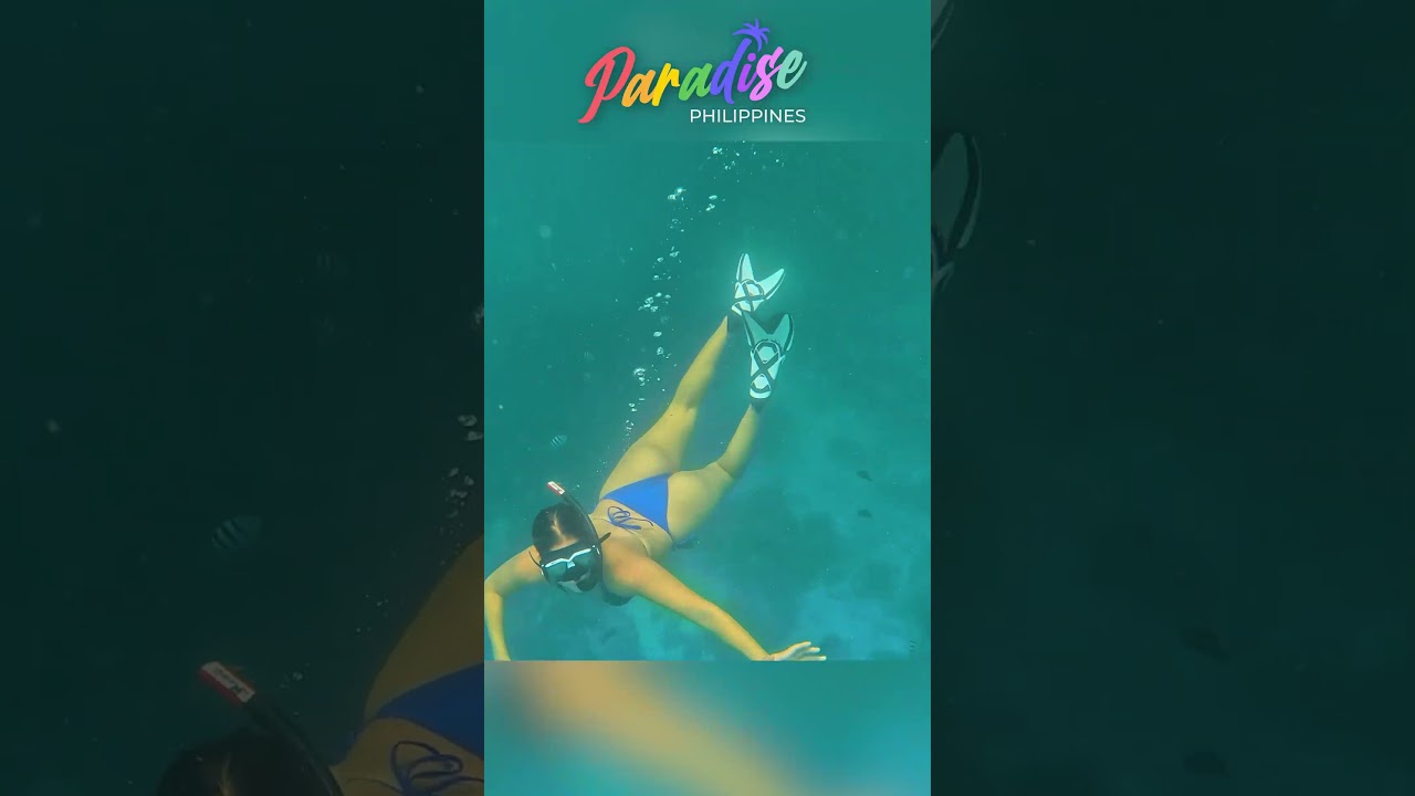 Cebu Island Hopping Experience | Paradise Philippines