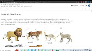 Practice Deep Learning | Lesson 1 Part 2 | fastai | Image Classification of Cat Family Application