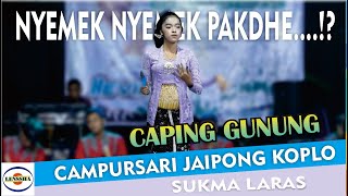 NYEMEK NYEMEK BOLO - LEWUNG - CAMPURSARI JAIPONG KOPLO  @lensshaofficial TERBARU GAYENG