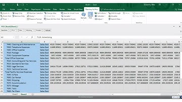 NSPB Reports PDF, HTML & Excel SmartView