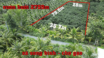 (Đã bán)vườn bưởi cặp lộ nhựa qua kênh 2759m tại xã song bình huyện chợ gạo TG cách mỹ tho 6km