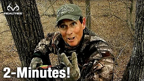 Monster Bucks "Best Reactions"