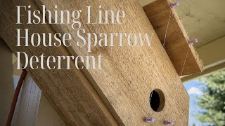 STAY OUT! - Fishing Line Sparrow Spooker