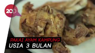 AYAM BERKAH BLOK M SEHARI 500 EKOR AYAM LUDES SADIS!!!. 