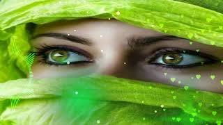 Unse mili nazar ki mere hos urr gaye 2      Djsubhash babu hi tech mankapur gonda 9918419994