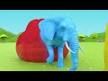 Learn Colors With Animals Cow, Tiger, Lion, Gorilla, Elephant, Shark Crossing Animal Animation Mp3 Song