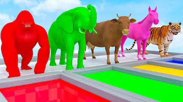 Learn Colors With Animals Cow, Tiger, Lion, Gorilla, Elephant, Shark Crossing Animal Animation