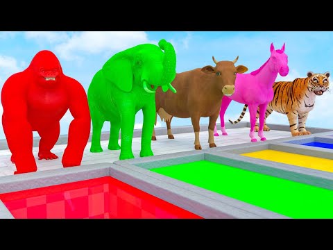 Learn Colors With Animals Cow, Tiger, Lion, Gorilla, Elephant, Shark Crossing Animal Animation