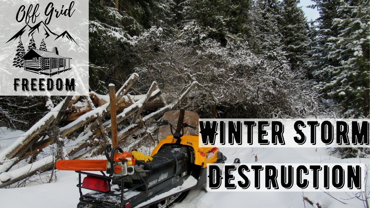 Off Grid in Winter | Storm Brings Down Trees at the Off Grid Cabin ...