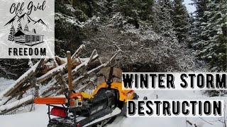 Off Grid in Winter | Storm Brings Down Trees at the Off Grid Cabin