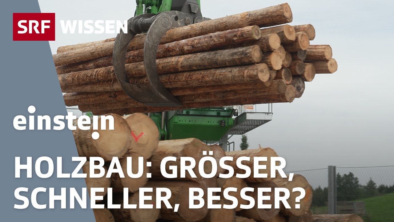 Holz: Bauen für die Zukunft? | Einstein | SRF Wissen