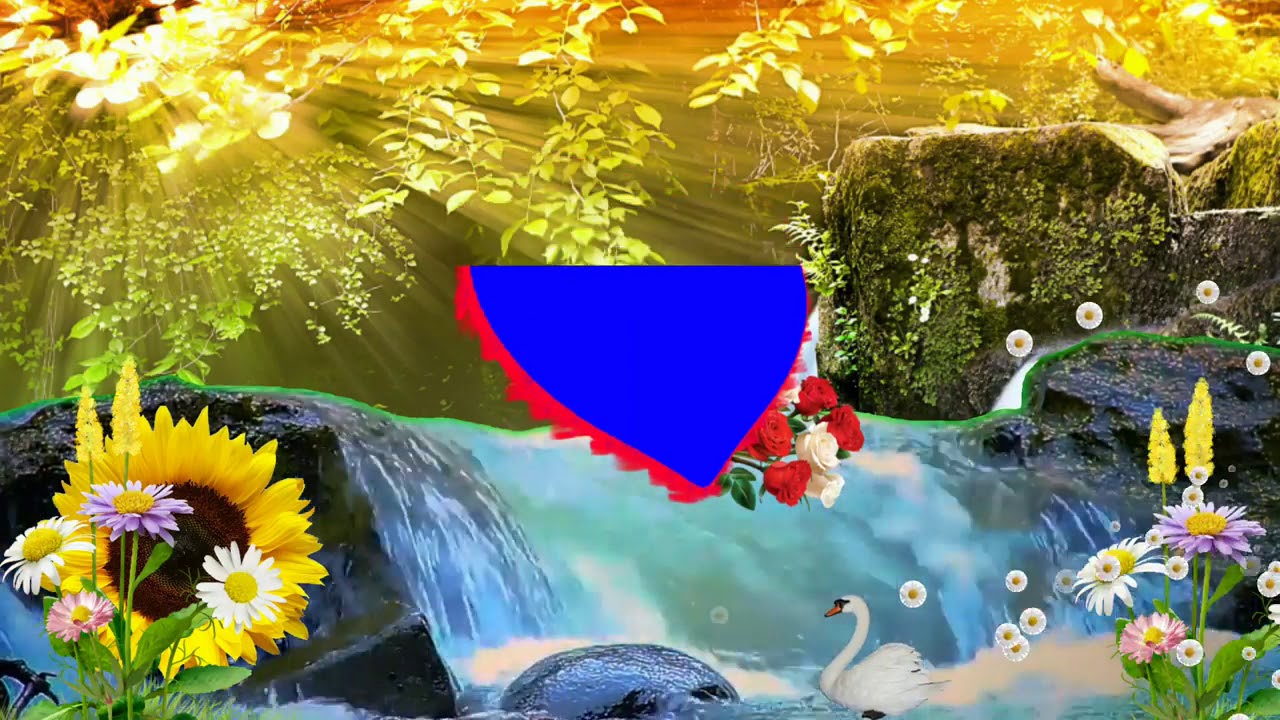 wadding_video_background_green_screen_effect_video_now_p(40) - YouTube