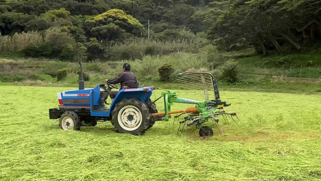 春の牧草01牛さんのエサ(牧草収穫作業)