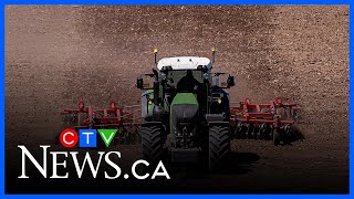 Record summer drought scorches Nova Scotia, fuels fires and crop losses