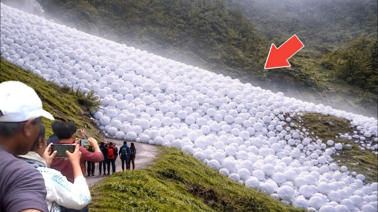 Самые невероятные моменты природы, когда-либо запечатленные на камеру.