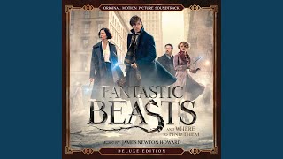 Video thumbnail of "James Newton Howard - Main Titles (Fantastic Beasts and Where to Find Them)"