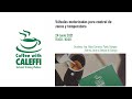 Válvulas motorizadas para control de zonas y temperatura | Webinar Coffee with Caleffi