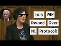 Tory MP Owned By Claire Hanna Over Northern Ireland Protocol!