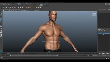 3D Realistic Character Rigging - Maya with Body Morph / Blendshape