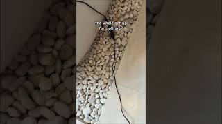 I Swear It Always Feels Like Im The One Carrying The Whole Conversation.