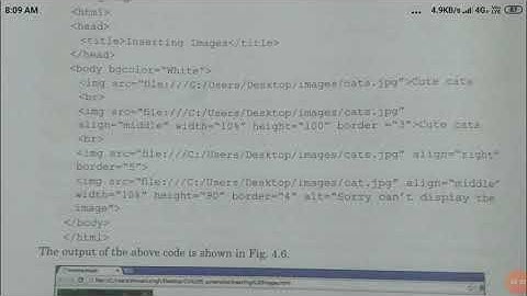 Class 8 computer chapter 4 part 5
